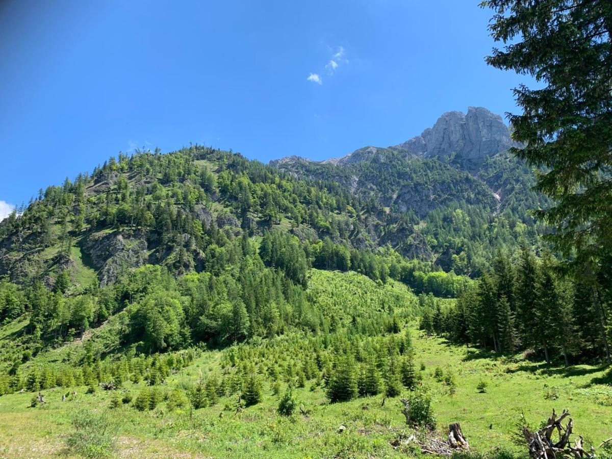 Apartment Kumitzblick Obersdorf Exteriör bild